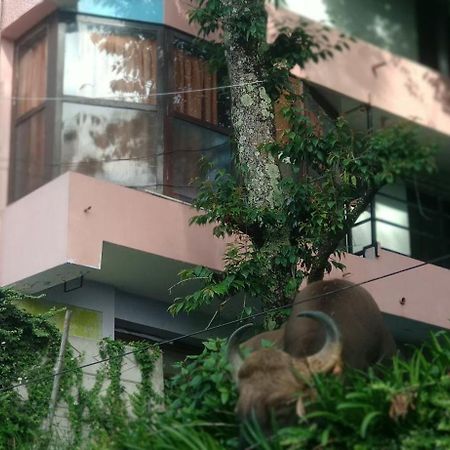 Sugan Residancy Kodai Tamilnadu - Tamilnadu - Kodaikanal Exterior foto