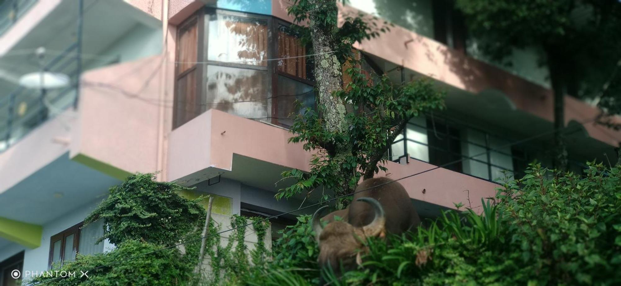 Sugan Residancy Kodai Tamilnadu - Tamilnadu - Kodaikanal Exterior foto